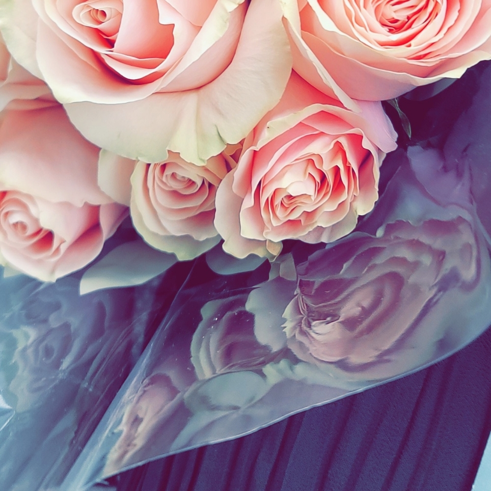 Meet your Posher, Carina